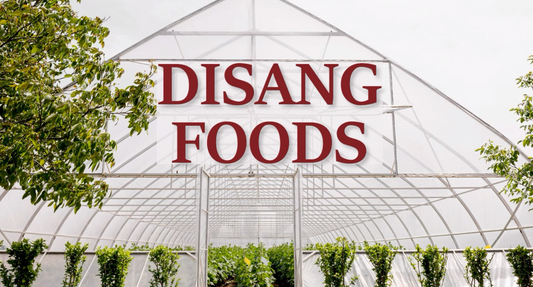 Why Natural Farming Matters – The Disang Way